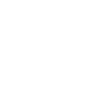 Peak Signal Company Logo